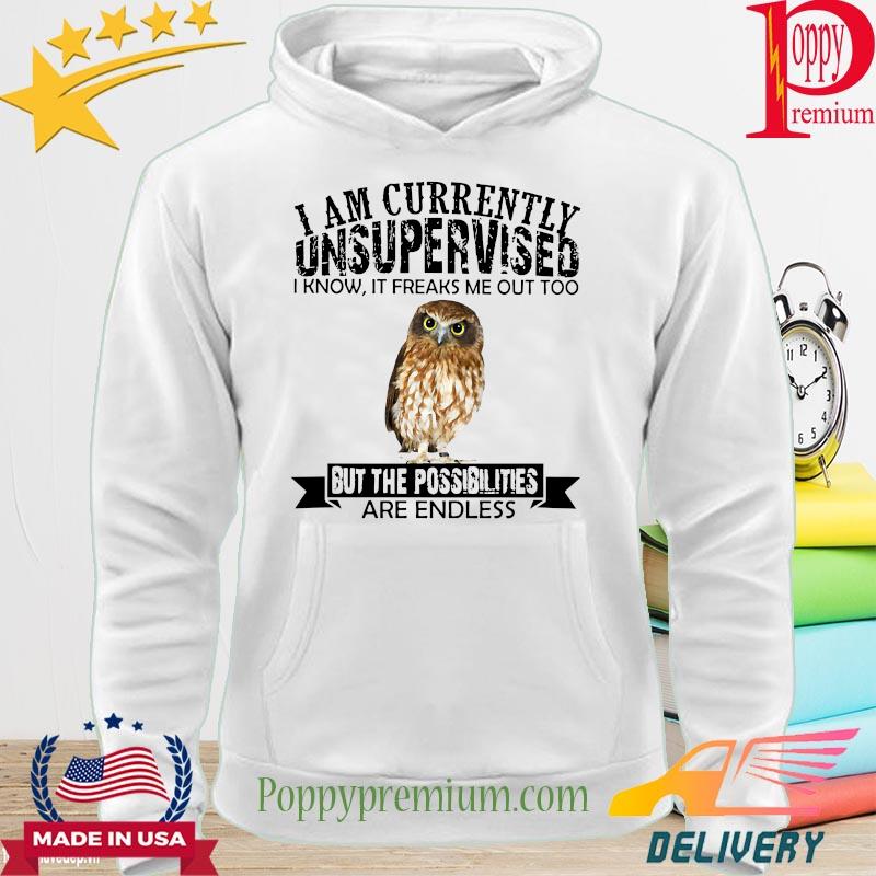 Burrowing Owl I am currently Unsupervised I know it freaks me out too but the possibilities are endless s hoodie
