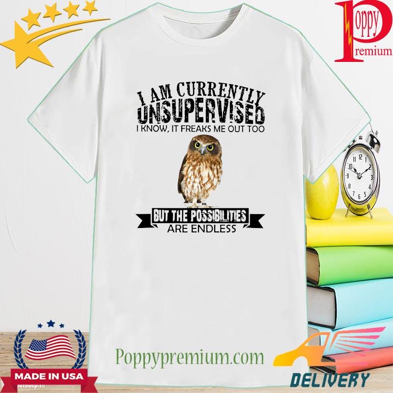 Burrowing Owl I am currently Unsupervised I know it freaks me out too but the possibilities are endless shirt