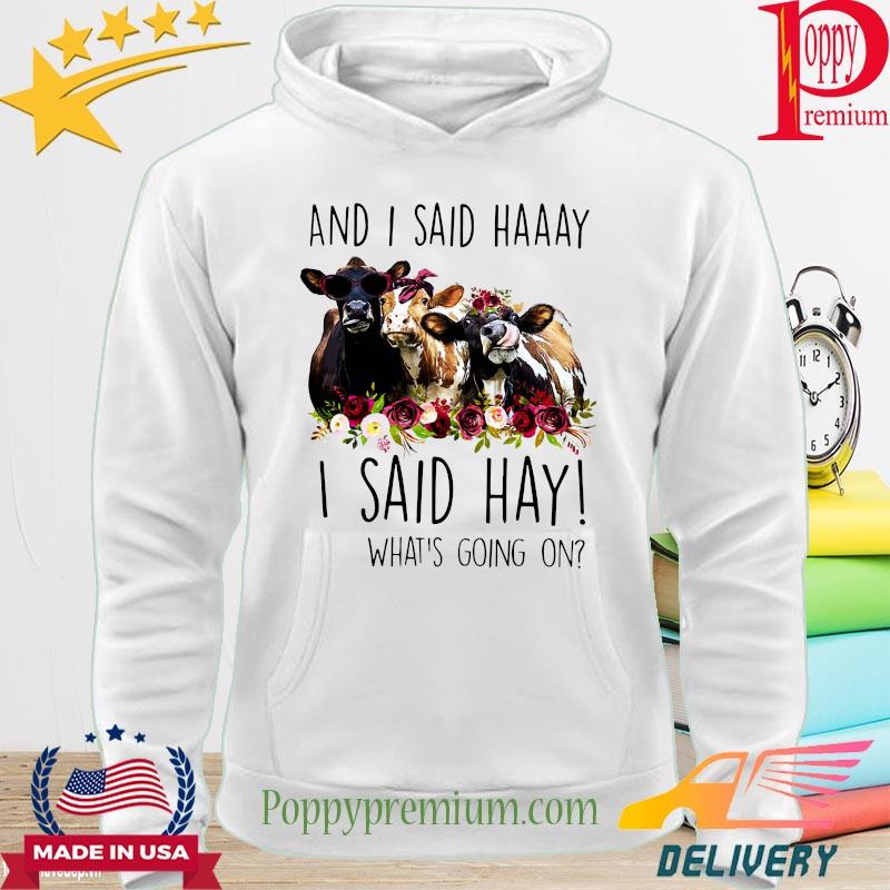 Heifer and I said Haaay I sad Hay what's going on s hoodie